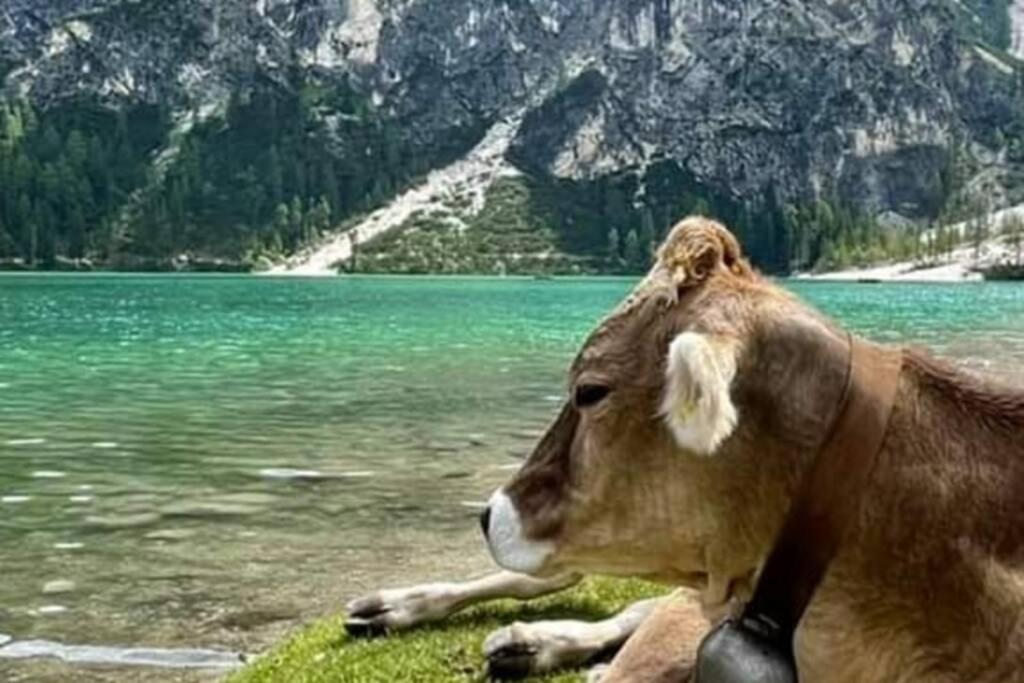 Relax Al Lago Di Prags Exterior foto